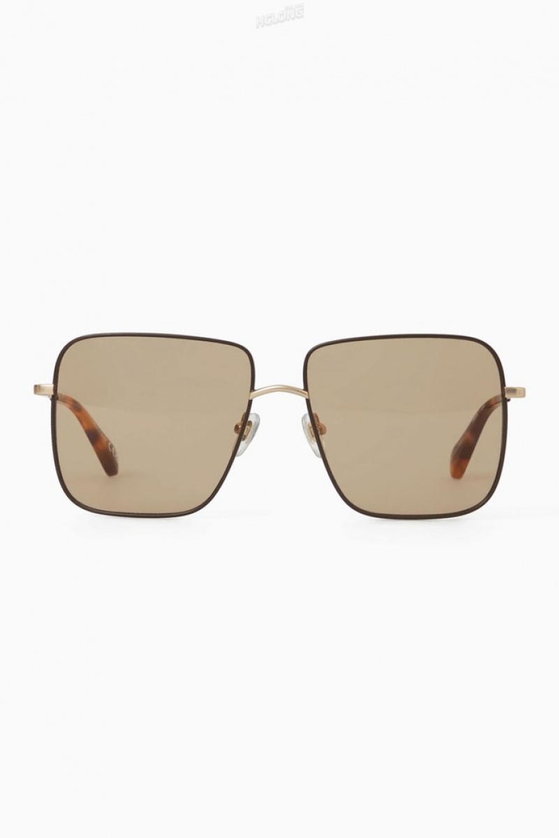 COS The Square Metal Sunglasses Women's Sunglasses Rose Gold | HO20-S7IJ